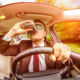 Как шофирането в нетрезво състояние причинява злополуки?